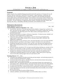 customer service resume summary