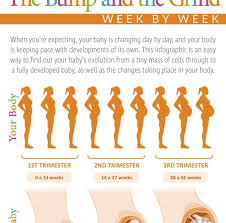 week by week pregnancy chart natural birth and baby care com