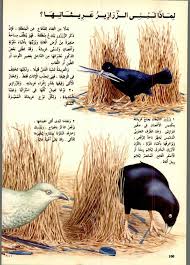 دائرة معارف القرن الحادي والعشرين للعلوم والتكنولوجيا المتطورة والطبيعية matnawi free download borrow and streaming internet archive in 2021 book club books books book club