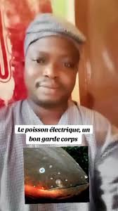 Le Robot Garde Corps