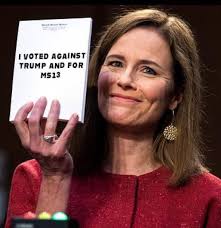 Shannon Dawn Tripp (@Shannon_Tripp)