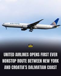 Image result for Commercial Blue 1995 Fleet