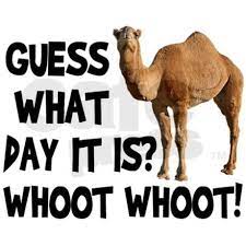 Camel ringtones commercial ringtones geico ringtones happier than ringtones. Camel Hump Day Quotes Quotesgram