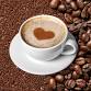 Coffee & Company
