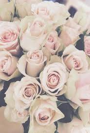 Pin By Lizbeth Lopez On Flores Flower Wallpaper Flowers Iphone Wallpaper