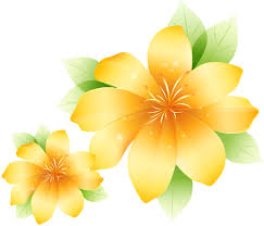 Large Yellow Flower Clipart Flower Photos Art Colorful Flowers