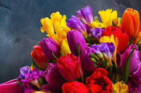 This is a visual representation of the price action in the market, over a certain period of time. 1 800 Flowers Com Inc Class A Nasdaq Flws Stock Quote News Thestreet