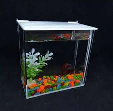 Kalau ingin mencampur ikan hias, berikut beberapa nama ikan hias yang dapat dicampur: Aquarium Mini Harga Agustus 2021 Blibli