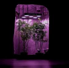 Check spelling or type a new query. Best Grow Shop In Eu Grow Box Led Grow Growtent Polish Best Grow Shop