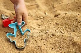 What can i use instead of cat litter. Can You Use Sand Instead Of Cat Litter Litter Boxes Com