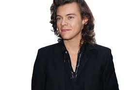 Harry Styles Png Images Cat Png Harry Styles Images Harry Styles Png Images