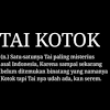Kali ini terdapat daftar kata kata lucu humor gokil terbaru yang bisa menjadi bacaan ringan nan menarik untuk meringankan pikiran diwaktu istirahat. 1