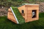 Solar powered dog house