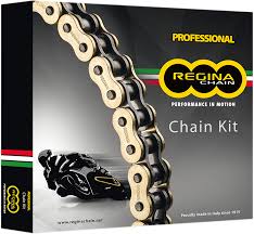 Details About Regina Oem Chain And Sprocket Kit Front Rear Tooth Size 15 40 Kd047
