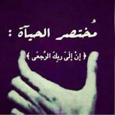 صور مختلفة Wise Words Quotes Islamic Quotes Proverbs Quotes