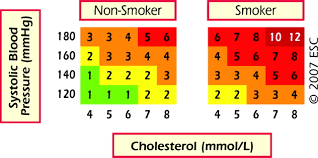 Cardiovascular Risk Estimation Systems In Primary Prevention