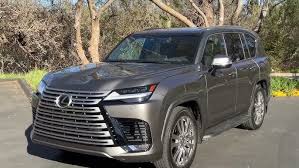 Image result for Manganese Luster 2025 LZ