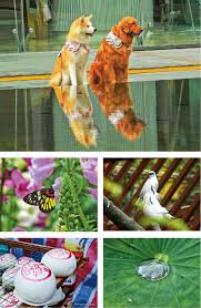 ways of seeing：專注定格生活之美黃乾生68載鏡頭人生攝影熱忱 ...