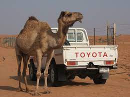 Camel nose in the tent: Which Cars Are The Worst D K Automotive Repair