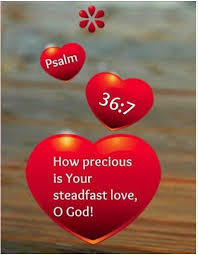 Psalms 36 7 English Standard Version How Precious Is Your Steadfast Love O God The Children Of Mankind Take Refuge In The Psalms Faith Scripture Bible Words