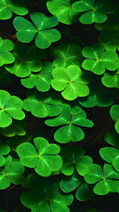 Saint patrick's day desktop backgrounds make your saint patrick's day holiday more special and your kids are also very excited about it. 12 St Patty S Day Iphone Backgrounds
