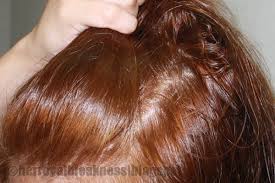 Hortaleza Chestnut Brown Hair Color Lajoshrich Com