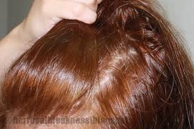 hortaleza chestnut brown hair color lajoshrich com