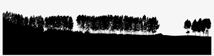 Shop for tree silhouette wall art from the world's greatest living artists. Transparent Tree Line Silhouette 1340x290 Png Download Pngkit