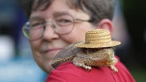 Cynthia Keough's Instagram, Twitter & Facebook