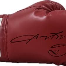 Sports Memorabilia Mike Tyson Signed Gold Right Hand Cleto Reyes Boxing  Glove Shadowbox JSA ITP Boxing Autographs