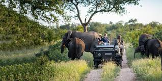 97,522 likes · 2,843 talking about this for friends and fans of the iconic kruger national park sharing nature and wildlife photos, the simp. Best Kruger National Park Safaris
