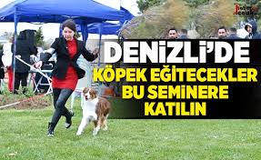 Denizli De Kopek Egitimi Ve Davranislari Semineri 15 Subat Ta