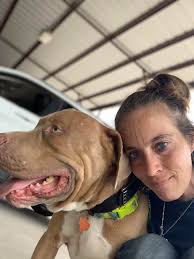 Hi everyone, I'm new here and I'm grieving the loss of my 5-year-old  pitbull, Zeus, who passed away suddenly a couple of days ago. He seemed  fine the night before but likely