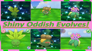 Shiny Oddish Evolves Shiny Gloom And Shiny Bellossom