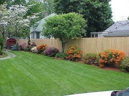 Side View Backyard Remodel Backyard Garden Design Backyard Fences