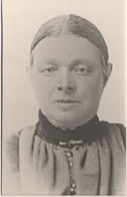 Mary Anne Lavin Lydon (1850-1908)