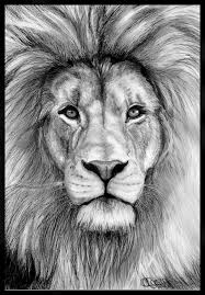 We did not find results for: Drawing Of Cute Animals Realistic