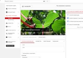 The latest and greatest music videos, trends and channels from youtube. Kak Zapustit Translyaciyu Strim Na Youtube Poshagovoe Rukovodstvo Kv By