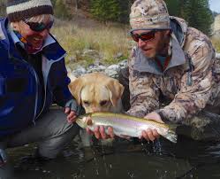 Entitles arkansas resident fishing license holders to fish in the missouri waters of bull shoals, norfork and table rock lakes if you wish to purchase a license in person, bring proof of your age, such as a driver's license, birth certificate or military record and proof of 60 days of arkansas residency, in the. Missouri River Fishing Report 11 12 15 Crosscurrents Fly Shop Missouri River Craig Montana