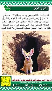 مبكية الحصني lis