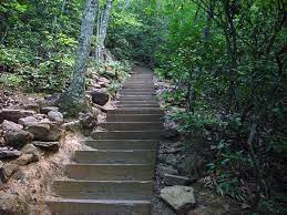 Steps To Crowders Mountain Going To Check This Park Out Note To Self South 85 Exit 13 State Parks Mountain Trails Places To Go