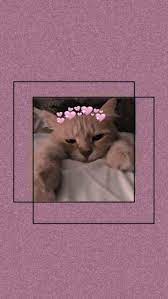  Pin By RubabÉ™ On Imagens Iphone Wallpaper Cat Cat Wallpaper Cartoon Wallpaper Iphone