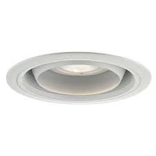 6 Adjustable Regressed Eyeball Recessed Trim T619w Wh Destination Lighting Can Lights Destination Lighting Recessed Can Lights