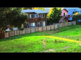 Peaking Lights Hey Sparrow Song Video Dreamy Best Video Ever Weird World Inspirational Videos