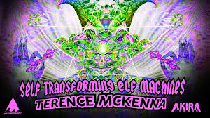 Anyway, when i saw the 'elves', i had never seen artistic depictions of them before. Terence Mckenna Self Transforming Elf Machines Meaningwave Akira The Don Youtube