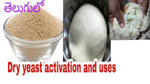 In Telugu Right Way To Activate Dry Yeast And How To Use Dry Yeast For Backery Recipes By Mamatha Youtube