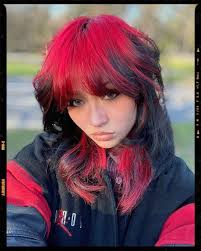 See more ideas about dyed hair, hair streaks, aesthetic hair. Hair Color Ideas In 2021 Aesthetic Hair Hair Inspo Color Hair Dye Colors