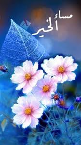مساء الخير لجميلي المشاعر من يحتلون القلوب بصفاء نواياهم مساء رقيق لي ولكم أحباب القلب Good Evening Greetings Good Morning Arabic Evening Quotes