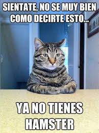 Los participantes de el desfile macabro se enfrentan a un nuevo y aterrador juego. 25 Memes Divertidos Xlvi