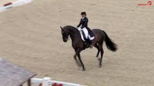 We did not find results for: Fohlenhofs Rock N Rose Verstirbt Bei Siegerehrung Sport News Reiterrevue International